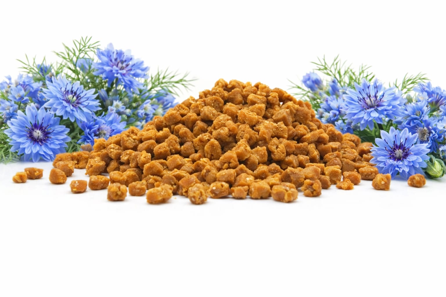 Mini Premios de Queso