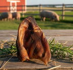 Oreja de cerdo selecta- 1 und