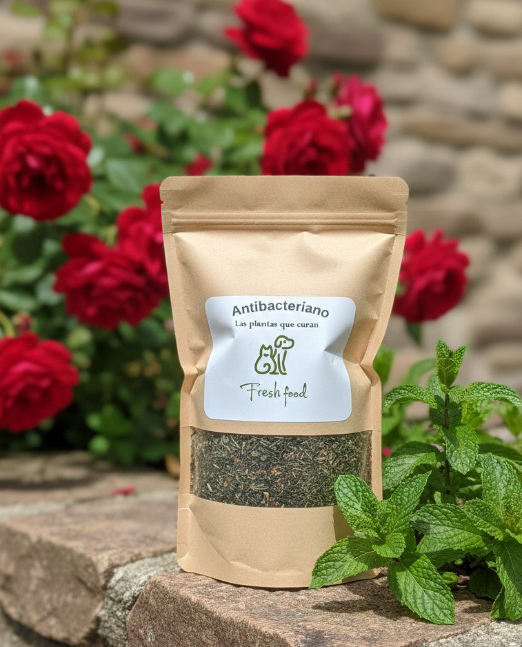 Antibacteriano y antiséptico 50 gr